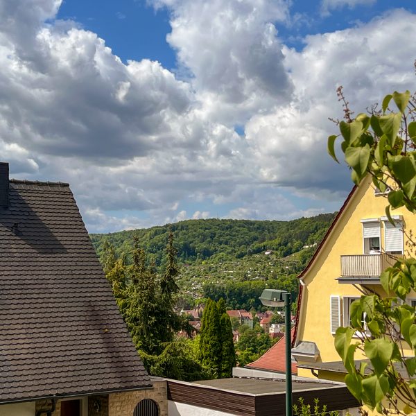 Blick von der Terrasse