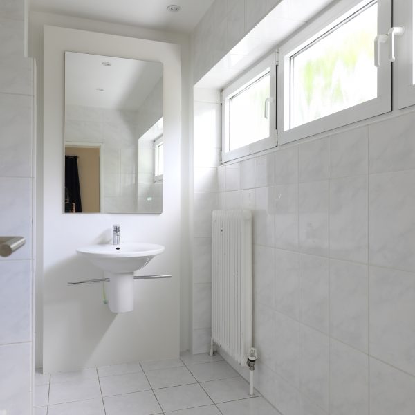 Tageslicht-Badezimmer mit Dusche