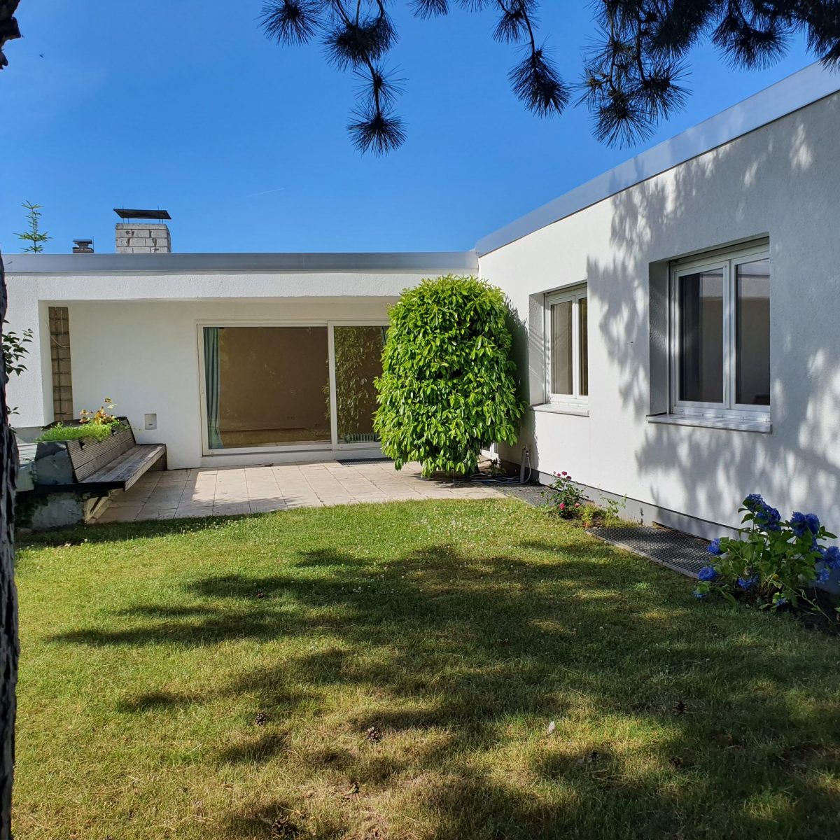 Modernes freistehendes EFH